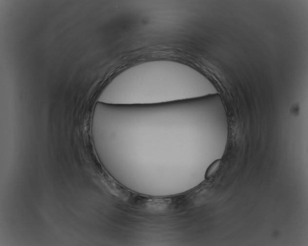 X0000091670373200708231019