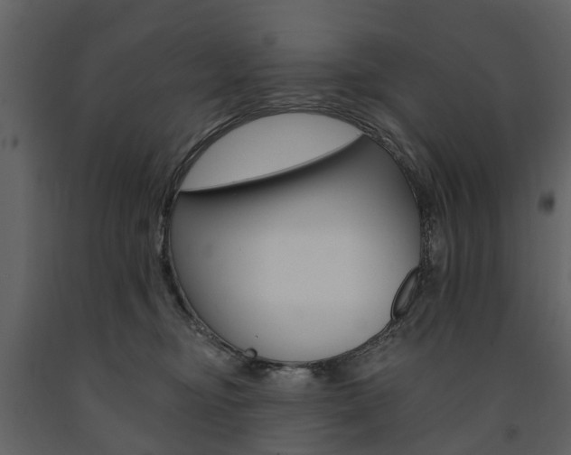 X0000091670374200708231019