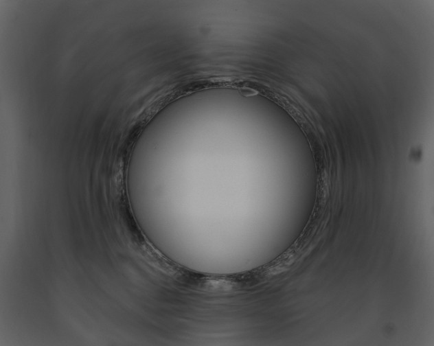 X0000091670376200708231019