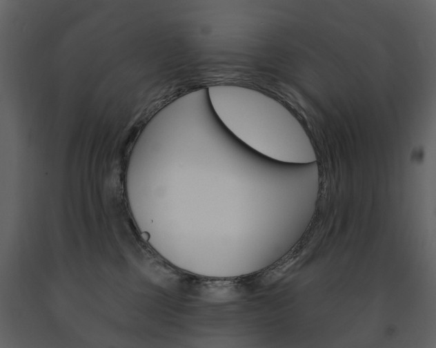 X0000091670377200708231019