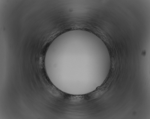 X0000091670378200708231019