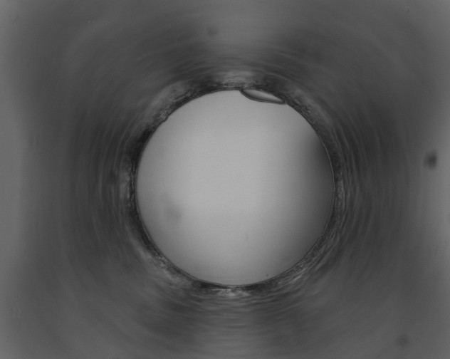 X0000091670379200708231019
