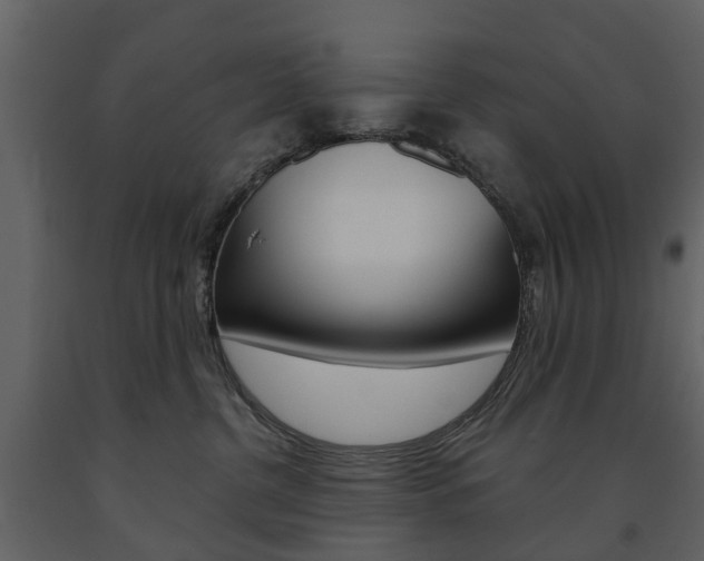 X0000091670380200708231019