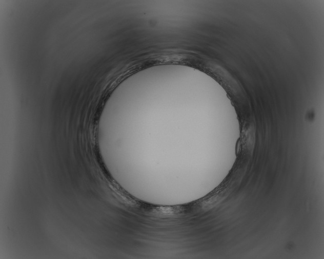 X0000091670381200708231019