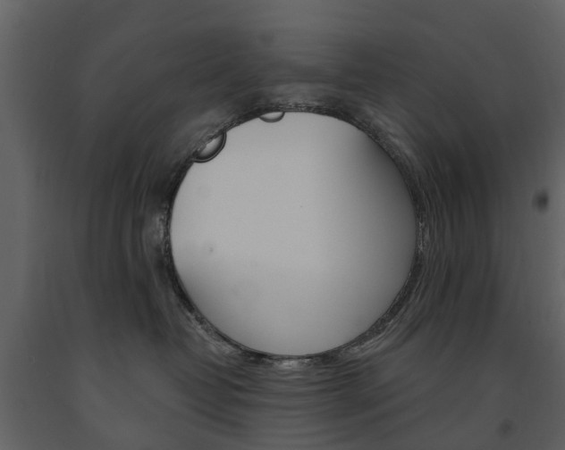 X0000091670382200708231019