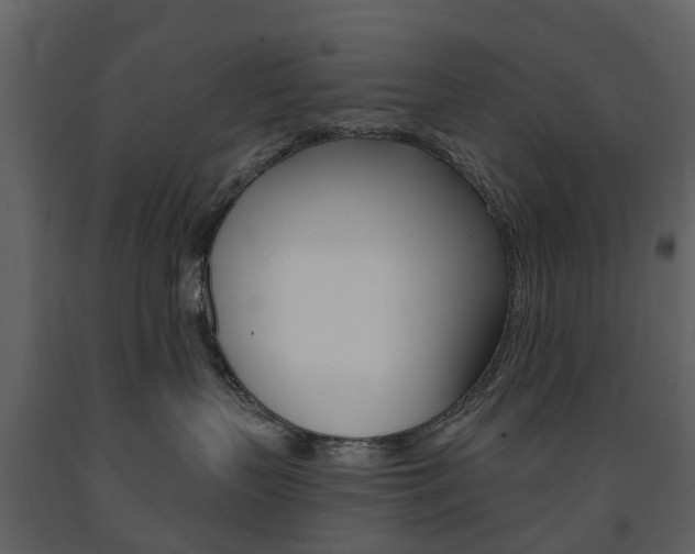 X0000091670383200708231019