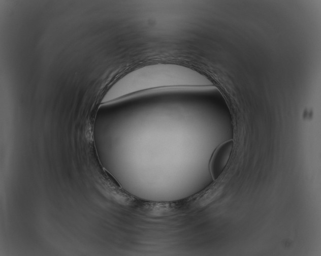 X0000091670384200708231019