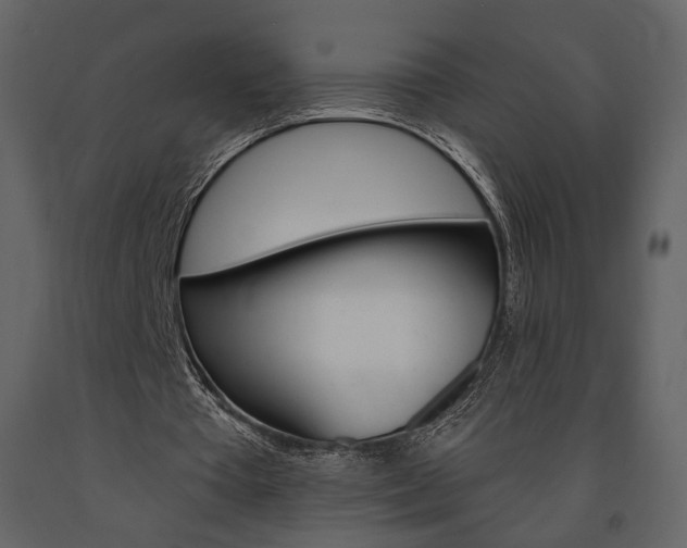 X0000091670385200708231018