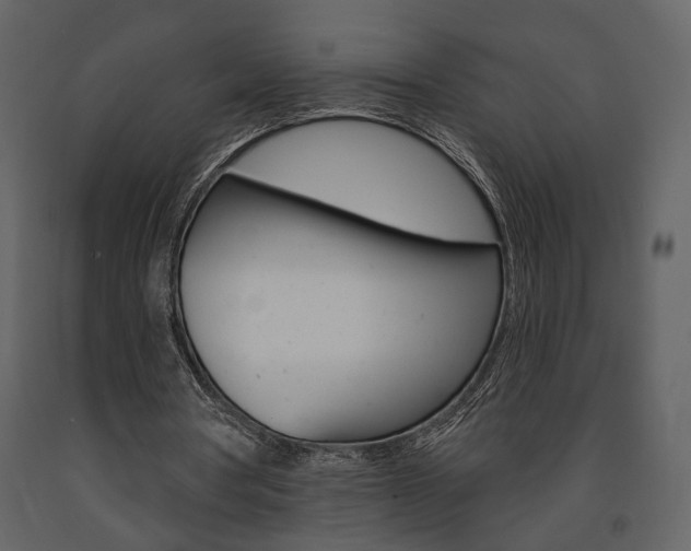 X0000091670386200708231018