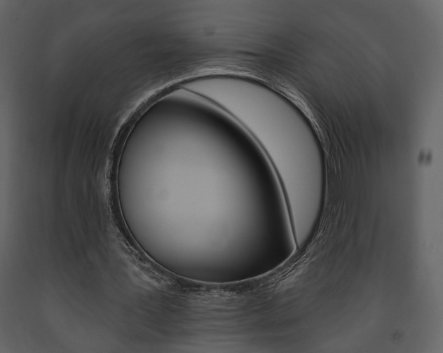 X0000091670387200708231018