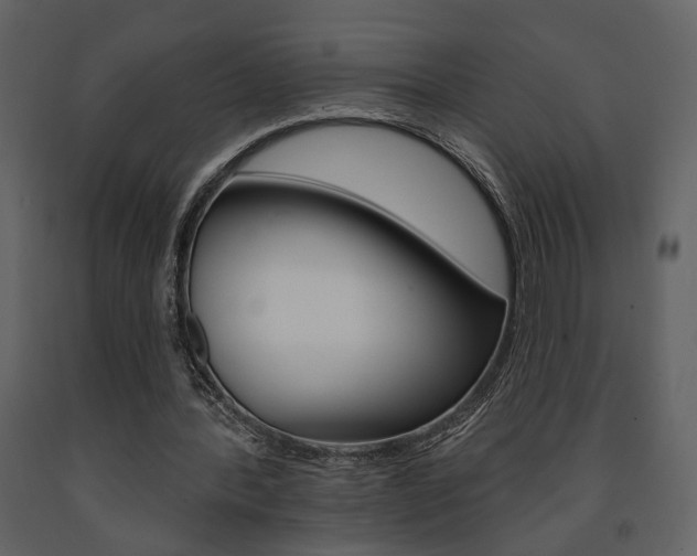 X0000091670388200708231018