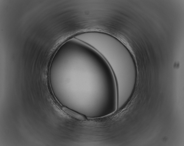 X0000091670389200708231018