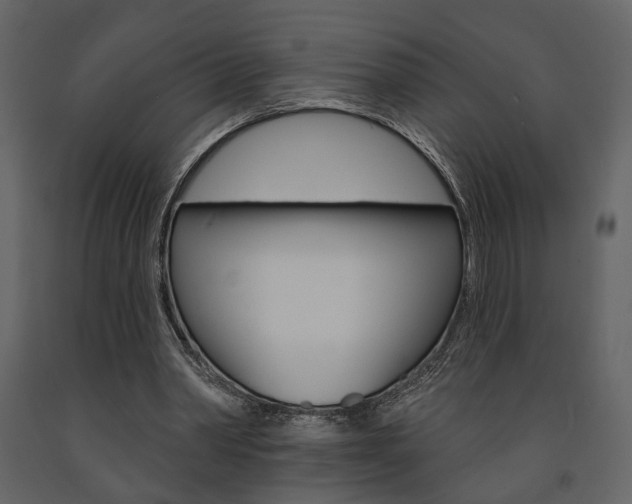 X0000091670390200708231018