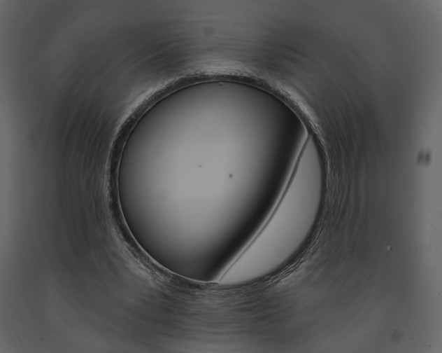 X0000091670391200708231018