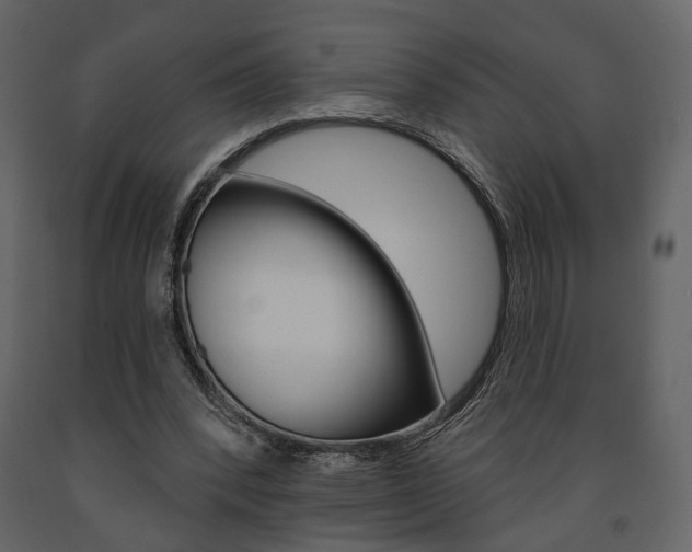X0000091670392200708231018