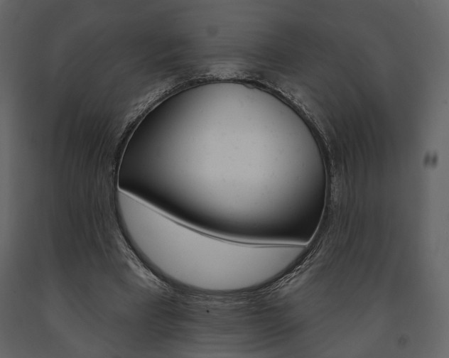 X0000091670393200708231018