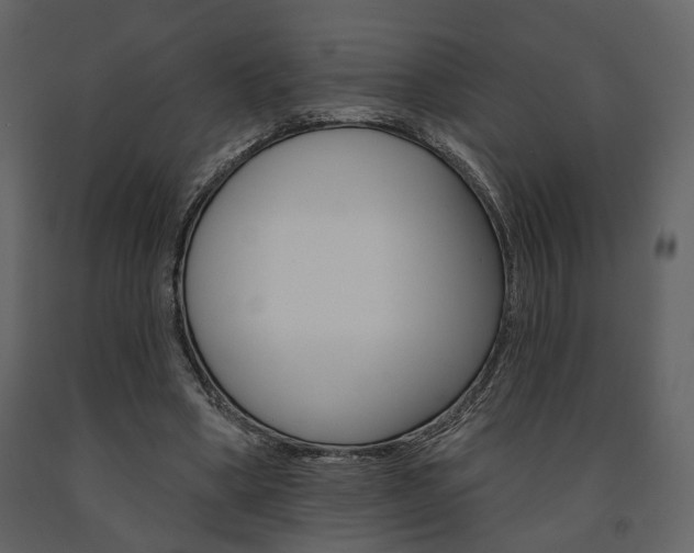 X0000091670394200708231018