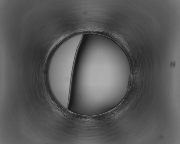X0000091670395200708231018