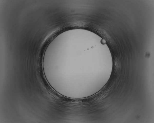 X0000091670396200708231018