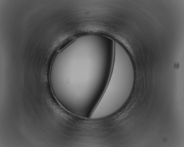 X0000091670399200708231018