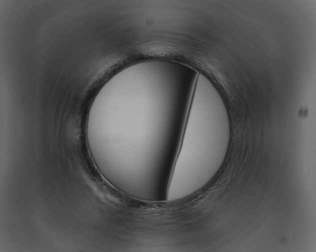 X0000091670400200708231018