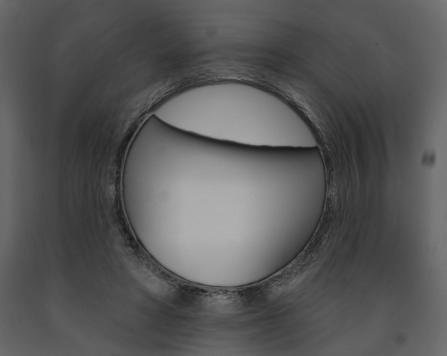 X0000091670402200708231018