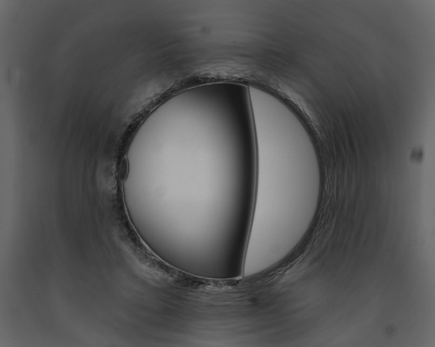 X0000091670403200708231018
