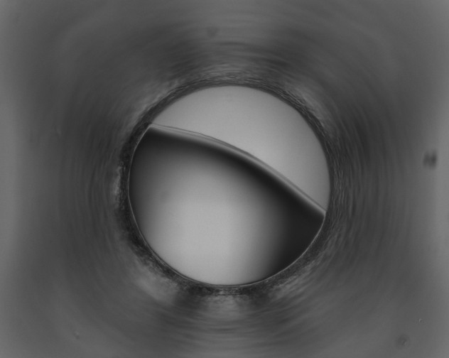 X0000091670404200708231018