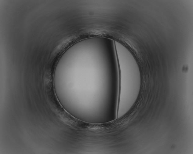 X0000091670407200708231018