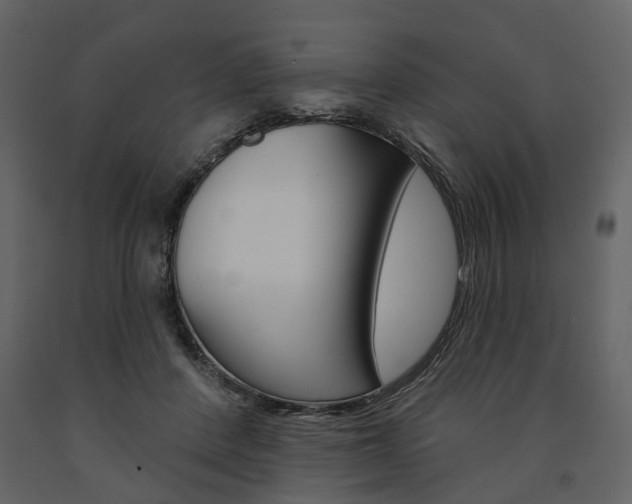 X0000091670408200708231018