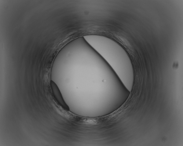X0000091670409200708231018