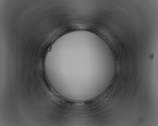 X0000091670410200708231018