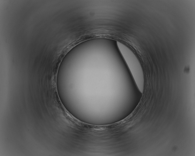 X0000091670411200708231018