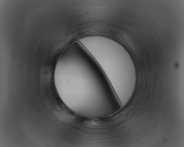 X0000091670412200708231018