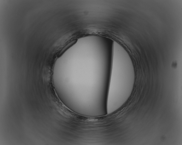 X0000091670413200708231018