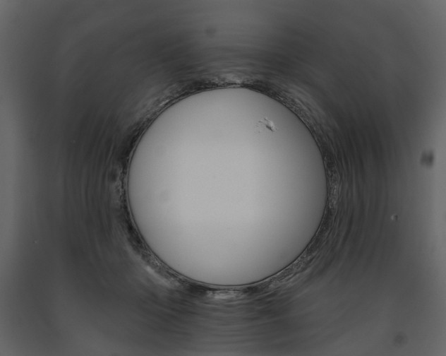 X0000091670414200708231018