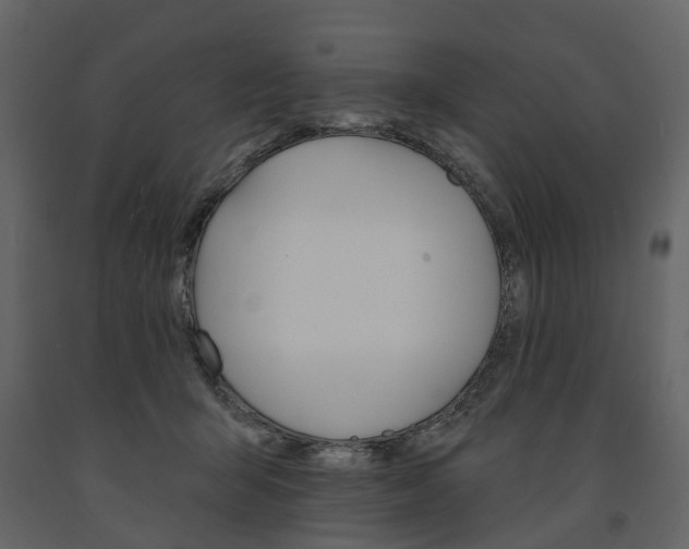 X0000091670415200708231018