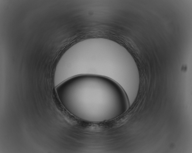 X0000091670416200708231018