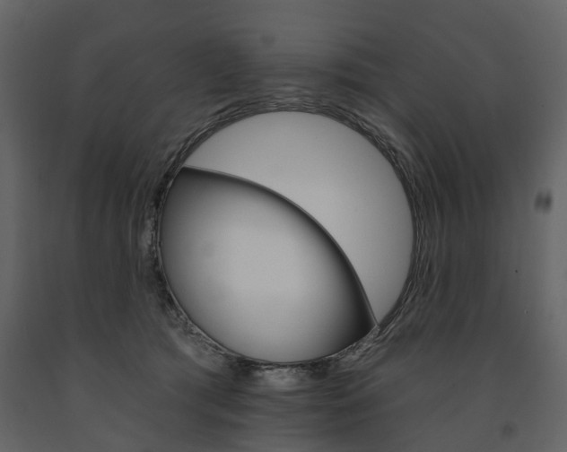X0000091670417200708231018