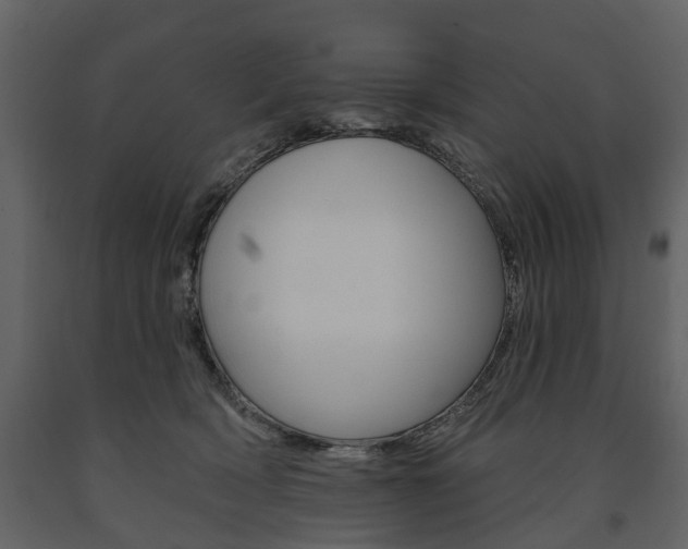 X0000091670418200708231018