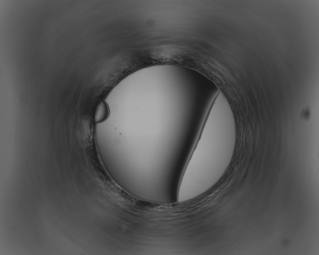 X0000091670420200708231018