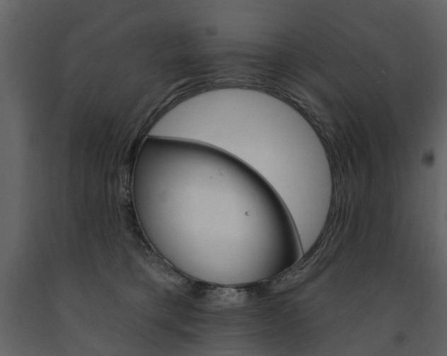 X0000091670421200708231018