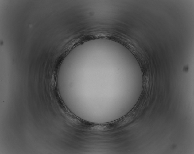 X0000091670422200708231018