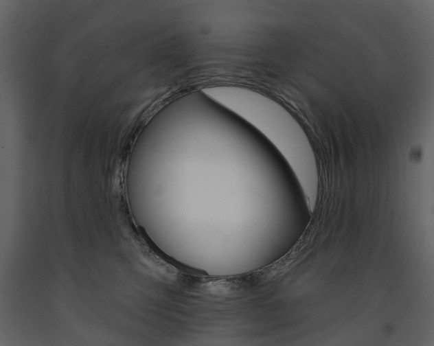 X0000091670423200708231018