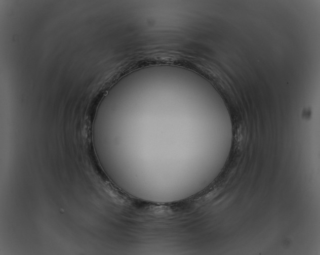 X0000091670424200708231018