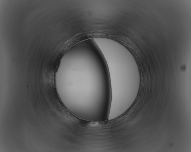 X0000091670425200708231018