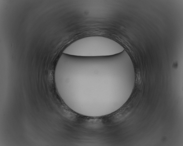 X0000091670426200708231018