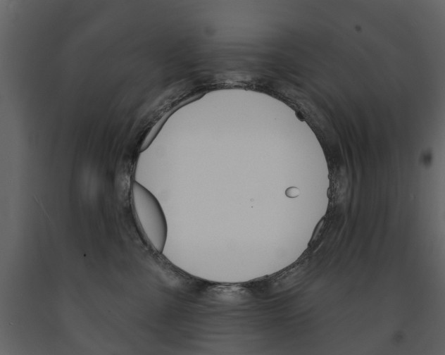 X0000091670427200708231018