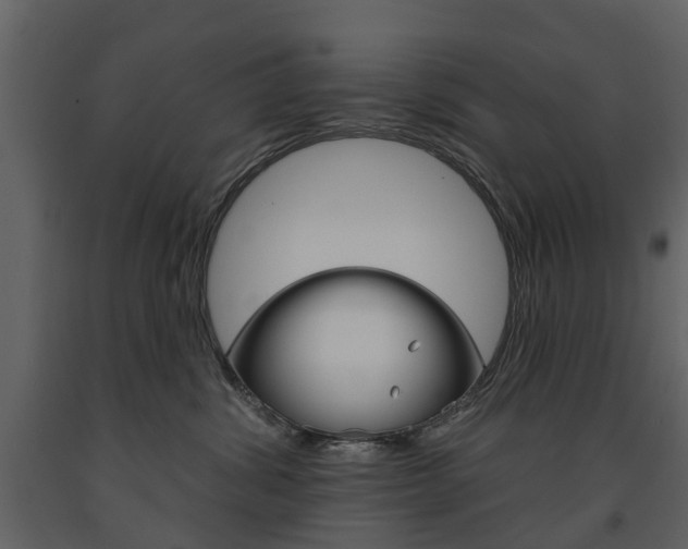X0000091670428200708231018