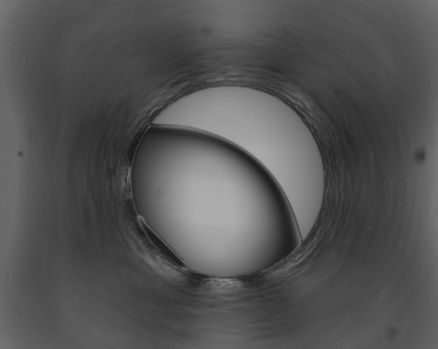 X0000091670429200708231018